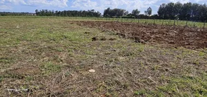 Prime 1⁄4 Plots for Sale in Marura Kimumu in Eldoret