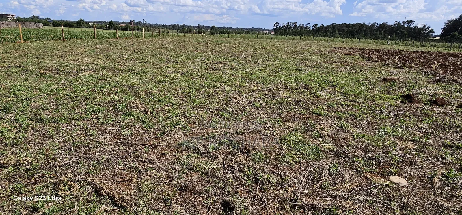 Prime 1⁄4 Plots for Sale in Marura Kimumu in Eldoret