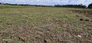 Prime 1⁄4 Plots for Sale in Marura Kimumu in Eldoret