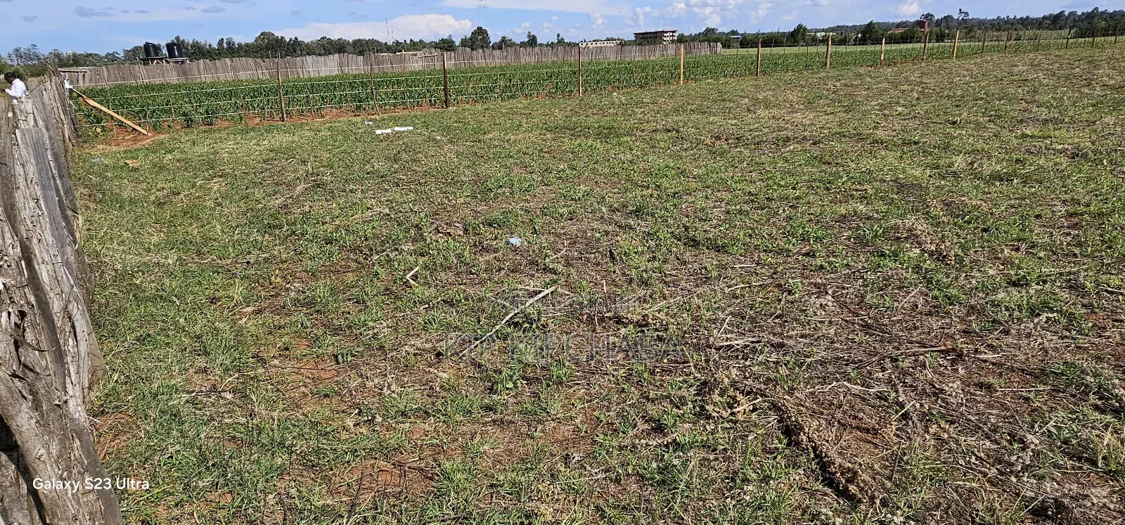Prime 1⁄4 Plots for Sale in Marura Kimumu in Eldoret