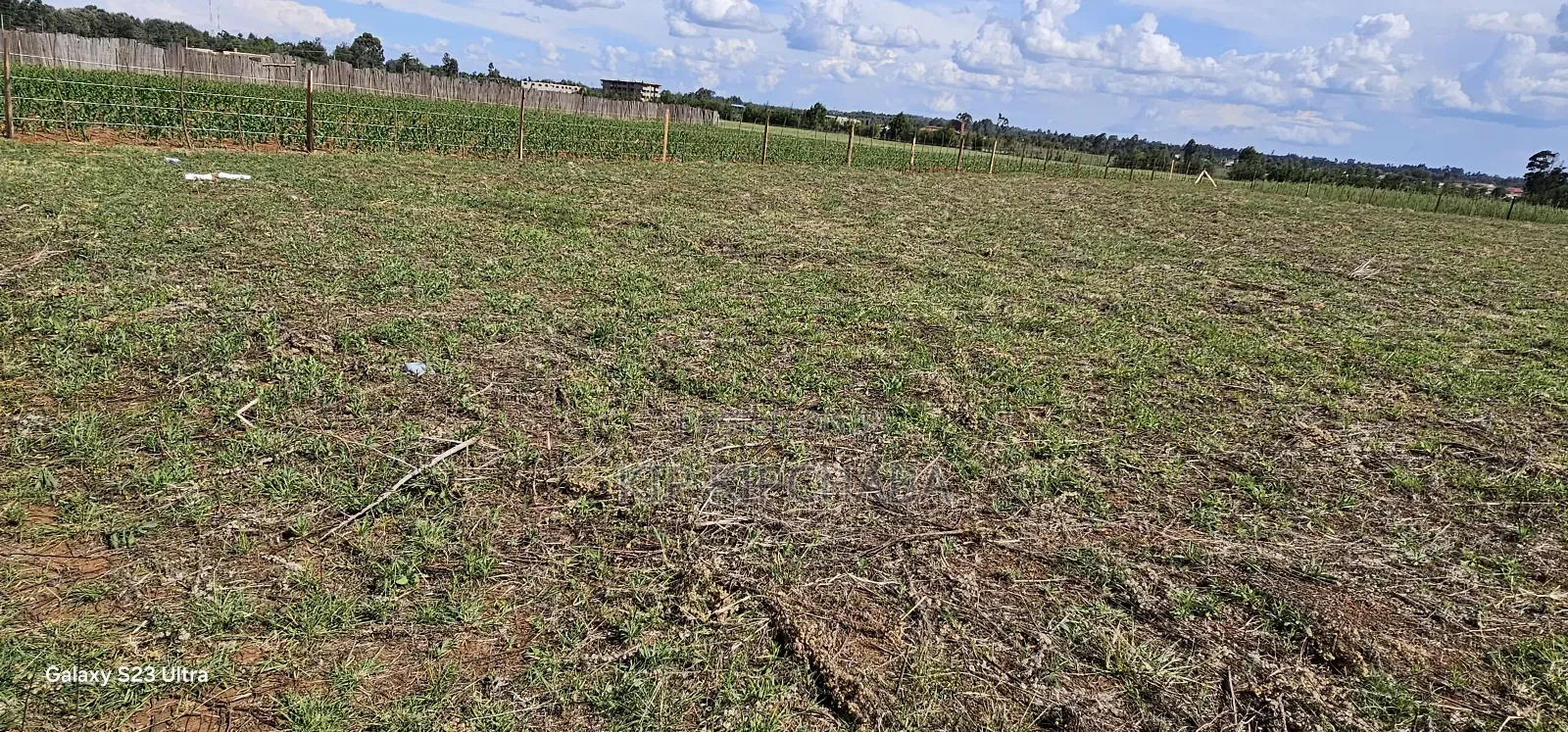 Prime 1⁄4 Plots for Sale in Marura Kimumu in Eldoret