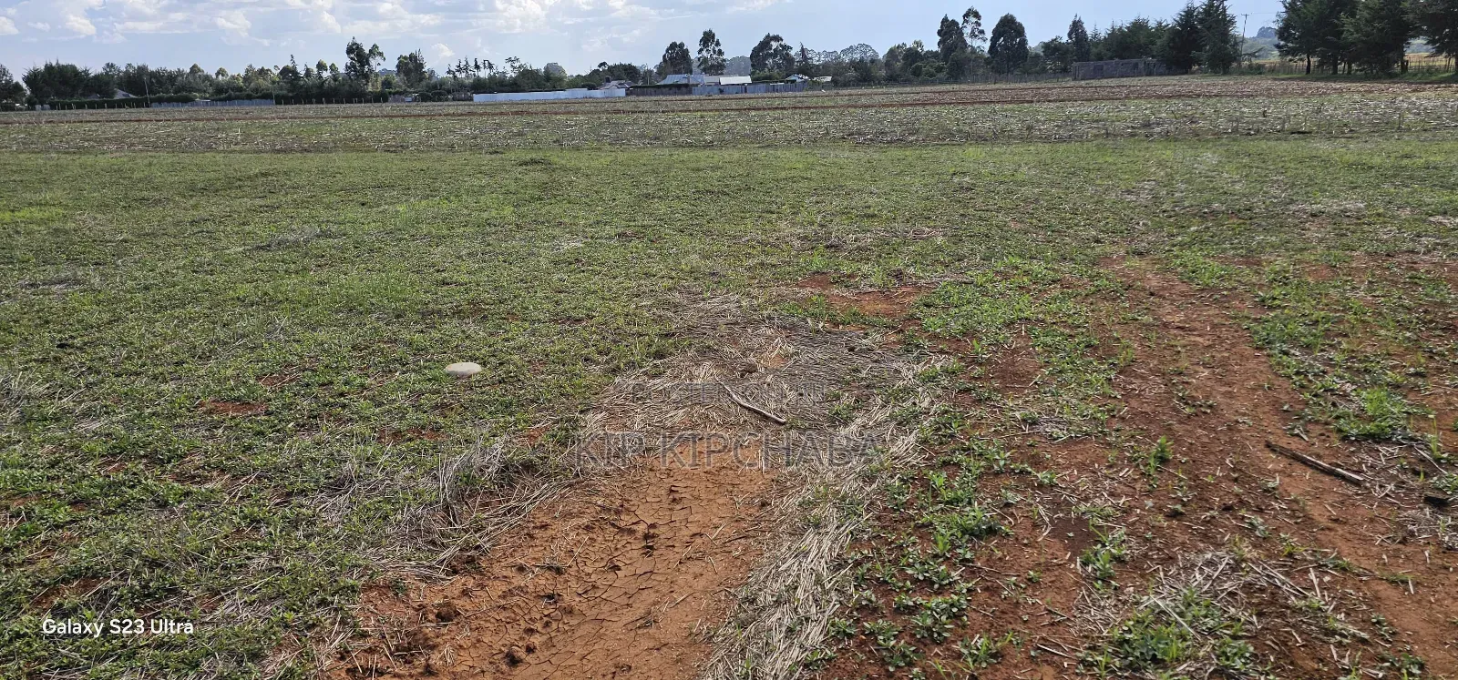 Prime 1⁄4 Plots for Sale in Marura Kimumu in Eldoret