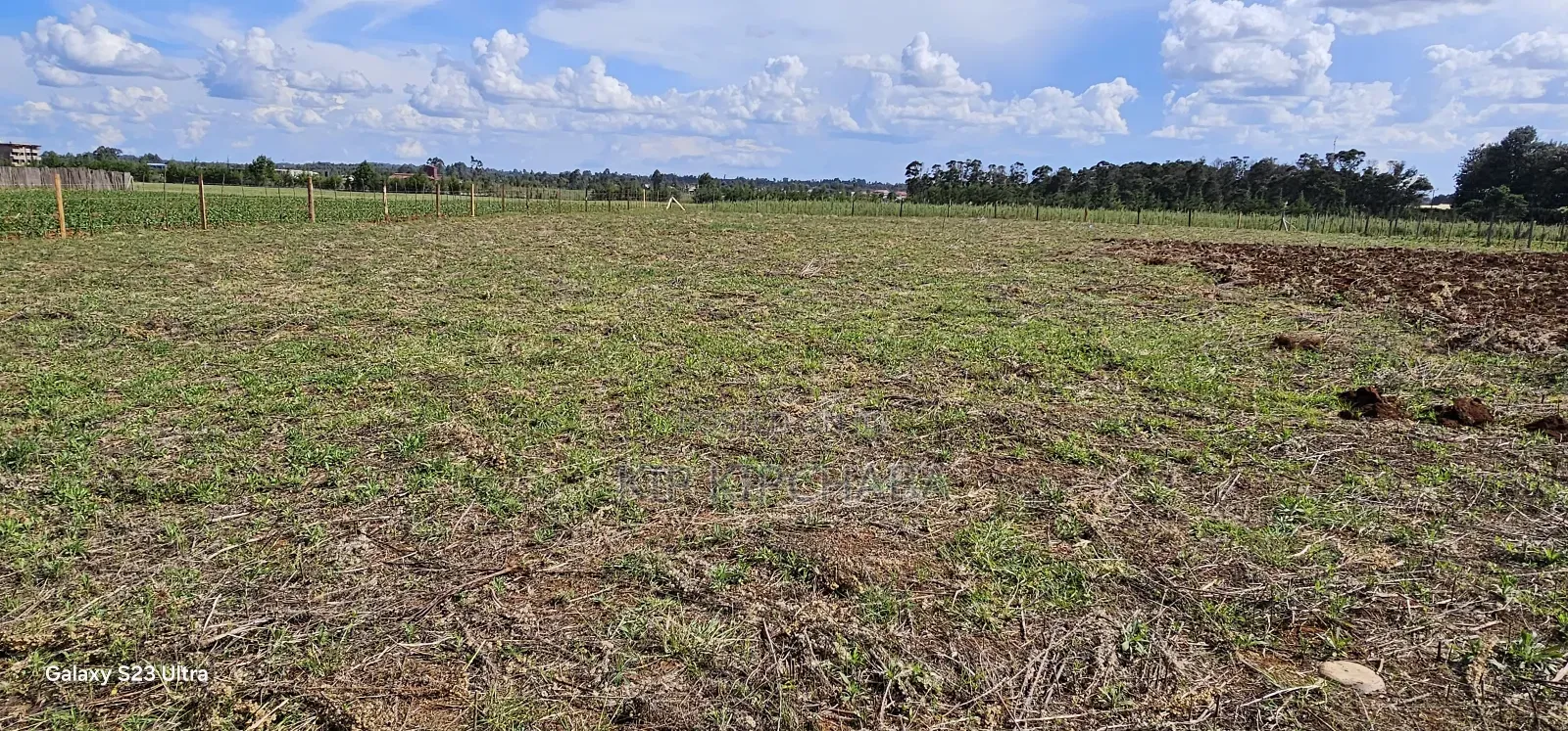 Prime 1⁄4 Plots for Sale in Marura Kimumu in Eldoret
