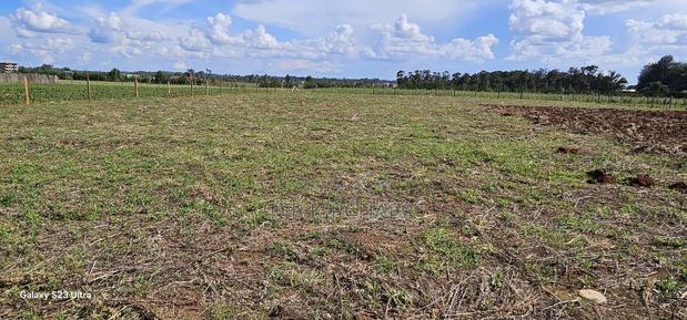 Prime 1⁄4 Plots for Sale in Marura Kimumu in Eldoret