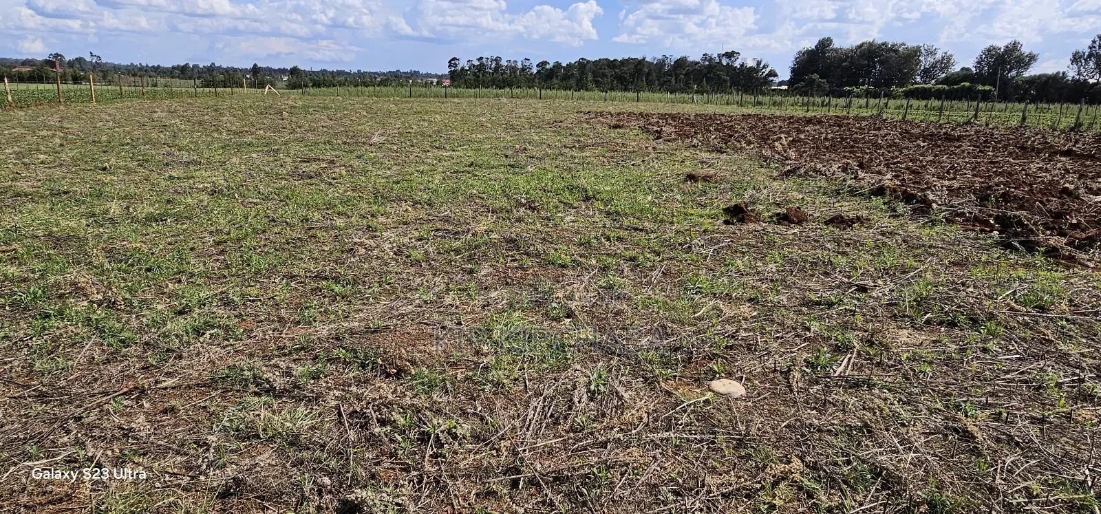 Prime 1⁄4 Plots for Sale in Marura Kimumu in Eldoret