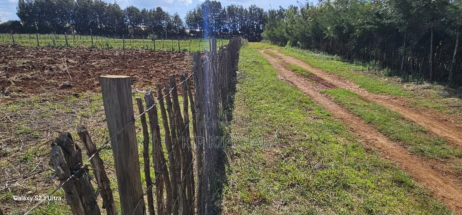 Prime 1⁄4 Plots for Sale in Marura Kimumu in Eldoret
