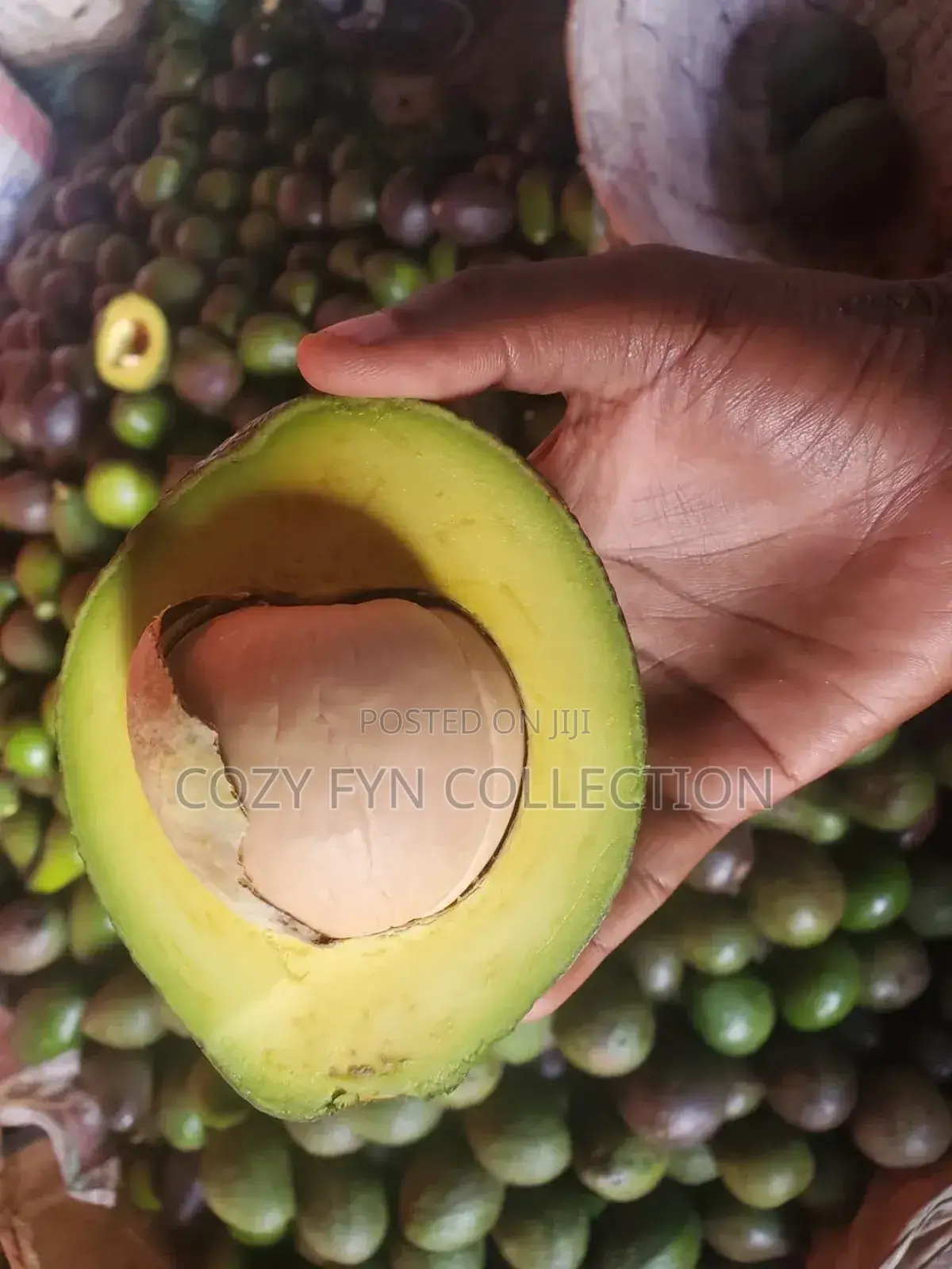 Avocado Mature Ripe to Eat
