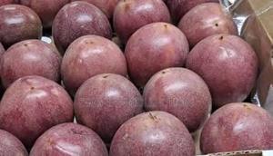 Passion Fruit Fresh - main view