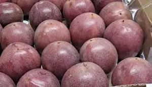 Passion Fruit Fresh
