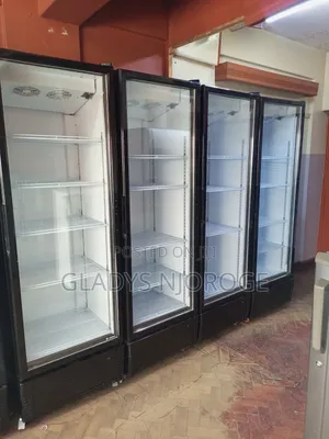 Clean Display Chiller (Well Maintained)
