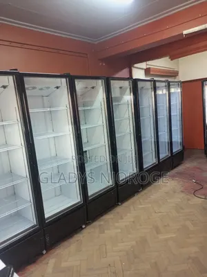 Commercial Perfect Working Chiller/Well Maintained/