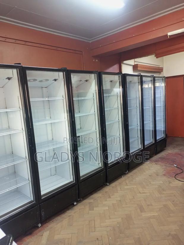 Commercial Perfect Working Chiller/Well Maintained/ - thumbnail 4