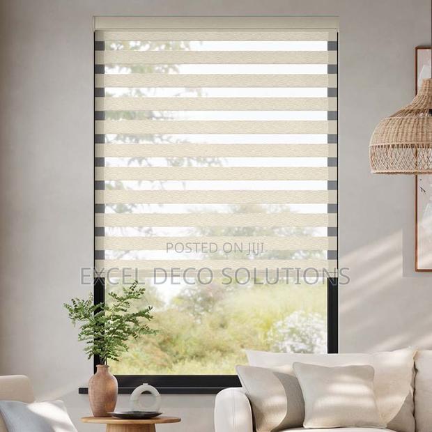 "Own the Light!" With Zebra Window Blinds - main view