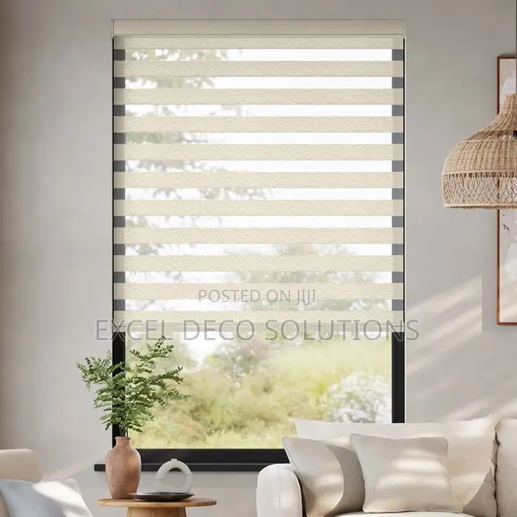 "Own the Light!" With Zebra Window Blinds