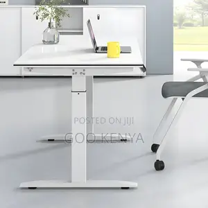 Office Desk ; 120cm Electric Office Standing Desk