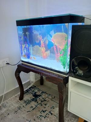 Complete 2.5ft Aquarium – Ready to Go! - thumbnail 2