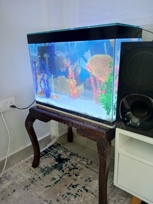 Complete 2.5ft Aquarium – Ready to Go!