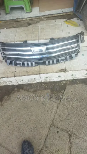 Noah 2010 Front Grill