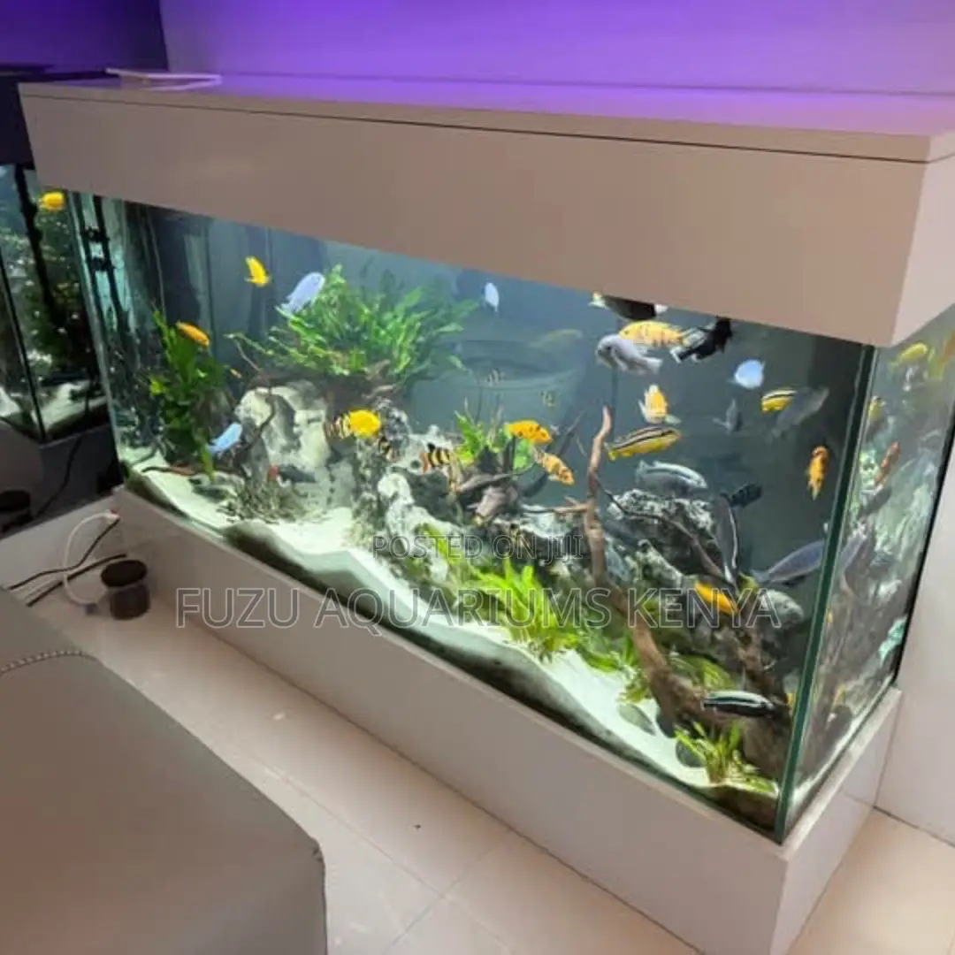 Premium White Aquarium Bundle -Complete