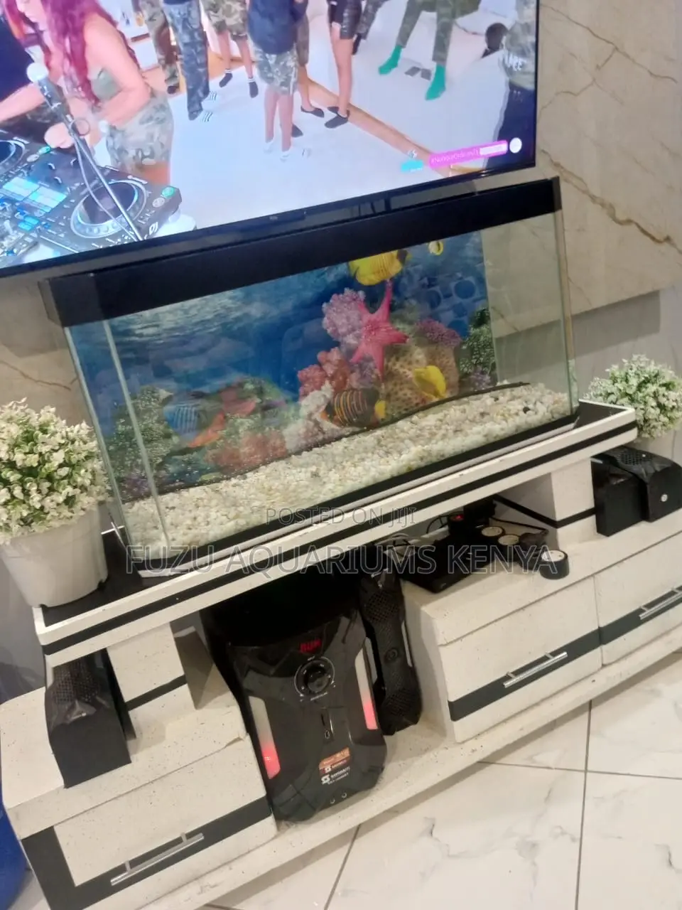 Equipped Aquarium With Pump, Lights Décor