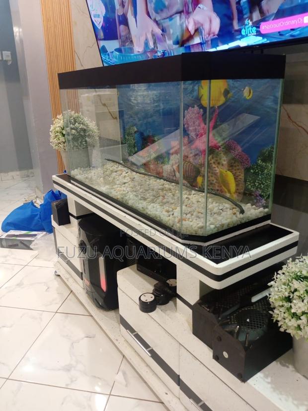Home Aquarium Set With 10 Fish 3 Months Supplies