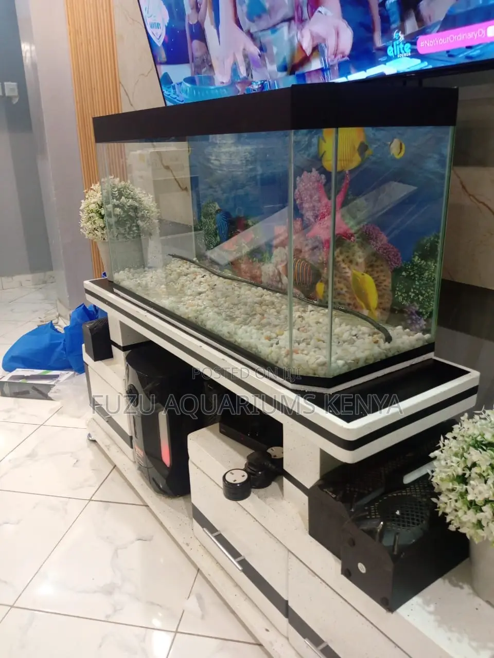 Home Aquarium Set With 10 Fish 3 Months Supplies