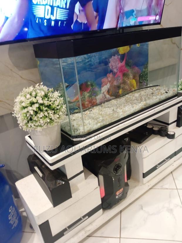 Home Aquarium Set With 10 Fish Ideal for a Tv Stand