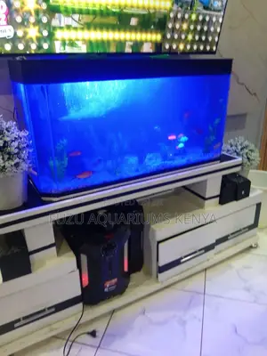 Complete Aquarium Tank– From Décor to Food