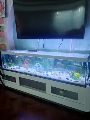 Stylish Wide Aquarium – Fully Loaded