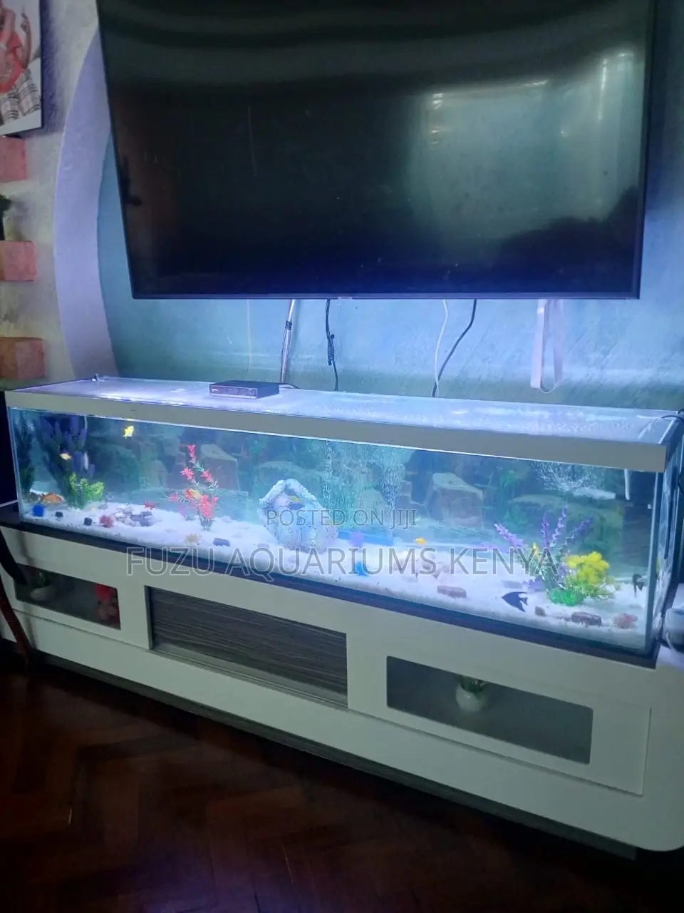 Stylish Wide Aquarium – Fully Loaded