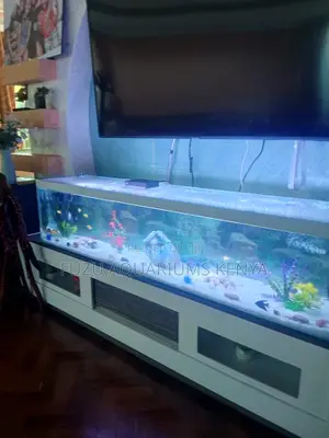 Wide Aquariumtank Set With Led Lights, 10 Fish
