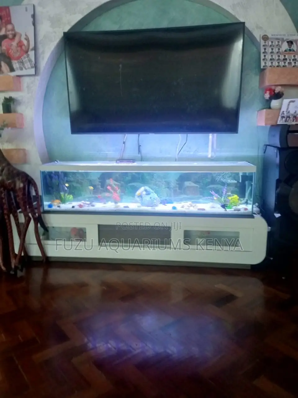 Decorated Wide Aquarium With Fish, Plants Essentials