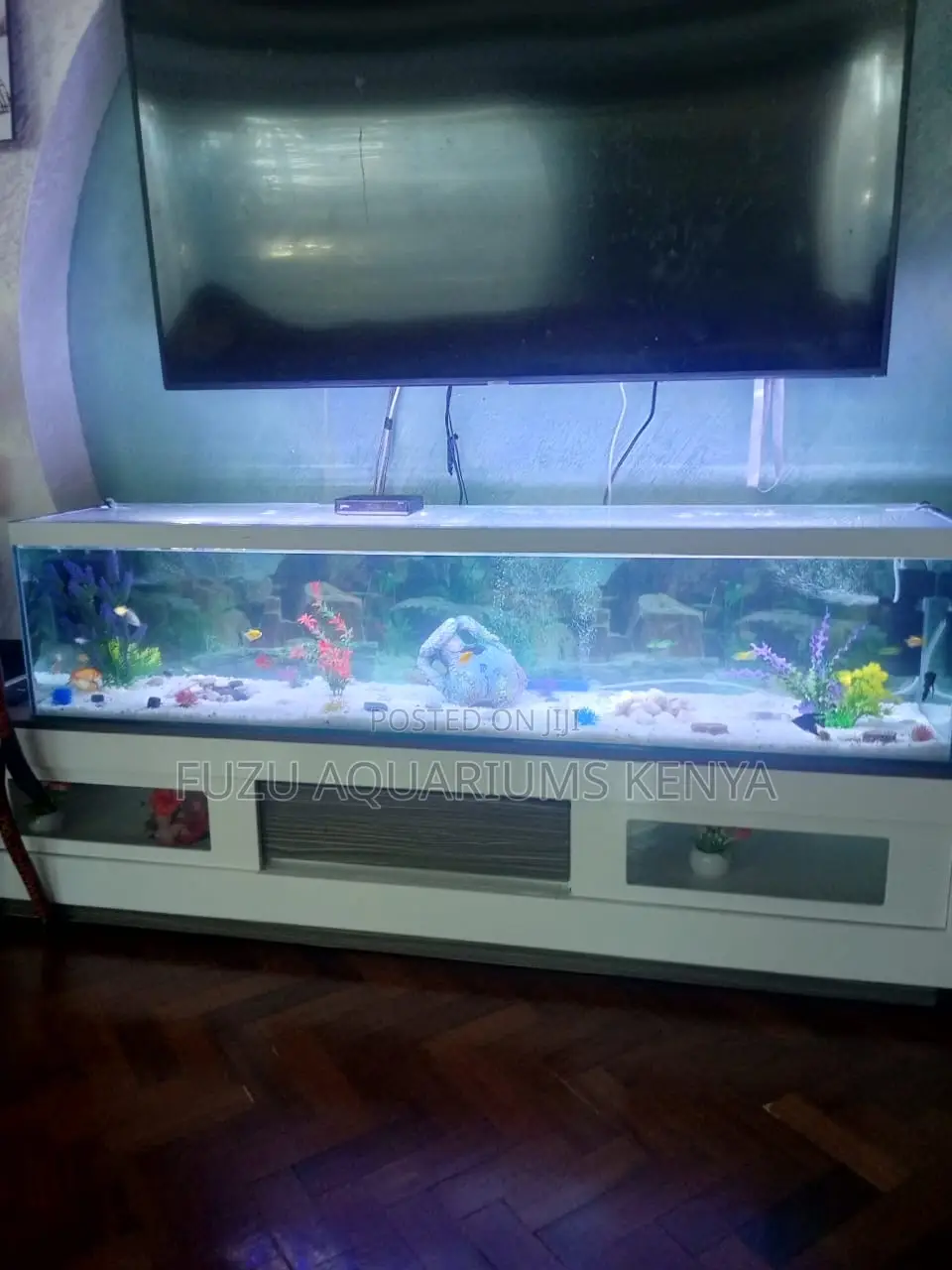 Stunning Aquarium Package – For Instant Serenity