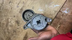 Zy And Zj Tensioner