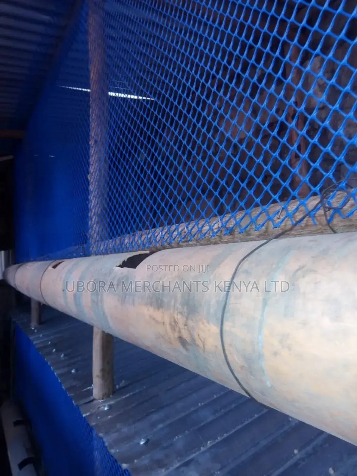 Blue Chicken Wire Mesh Roll 1x25m