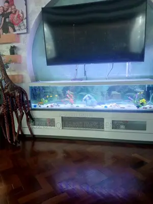 Fish Tank Deal: Loaded Set With Filter, Light Lid