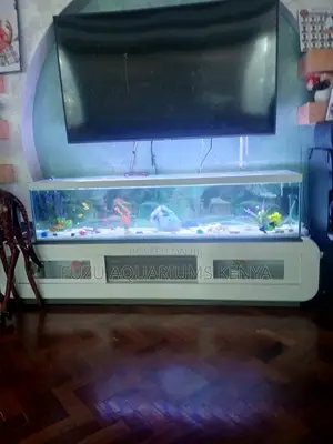 Wide Fish Tank Deal: Loaded Set With Filter, Light Lid