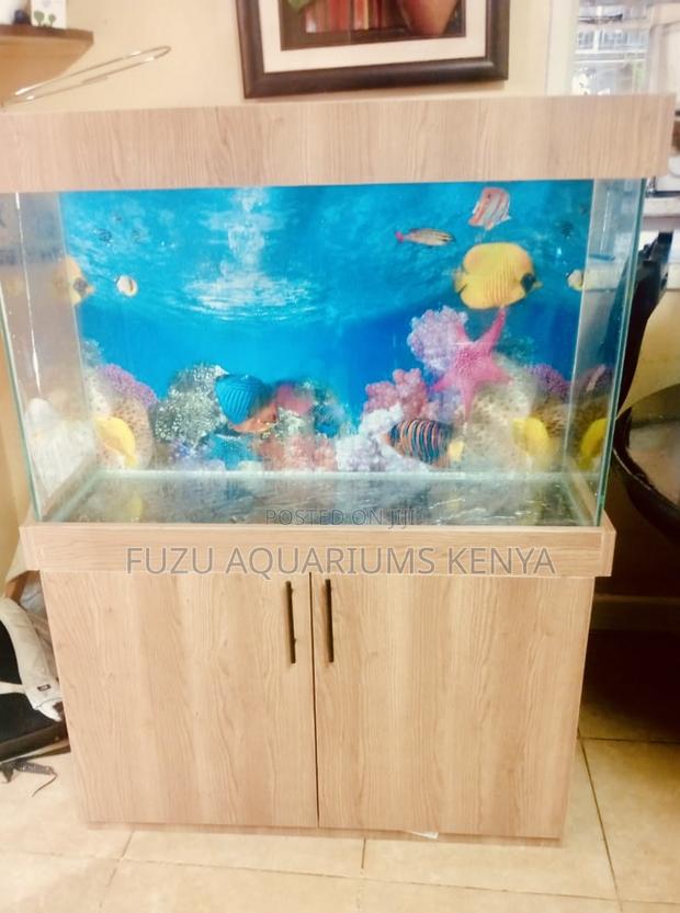 Aquarium Experience With a Cabinet – Fish, Décor, and More - main view