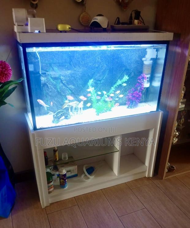 Beautiful White Aquarium Comes With Light, Fish and Food - main view