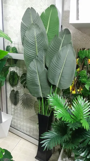 Banana Leaves Plus Wooden Vase