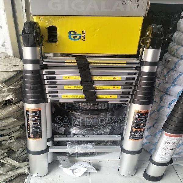 6m a Flame Telescopic Ladder - main view