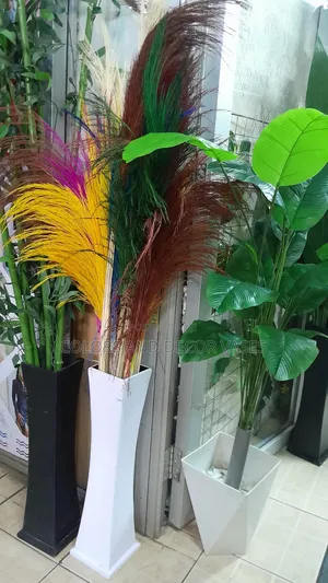 Pampas Grass With White Vase Offer Price Ksh2500