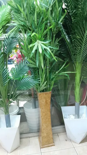 Bamboo In Wooden Vase Ksh Offer Price