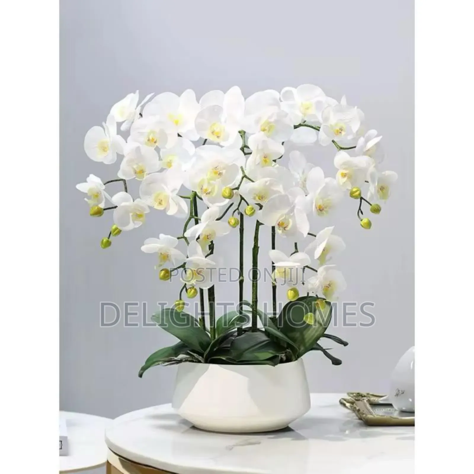 Ceramic Pot