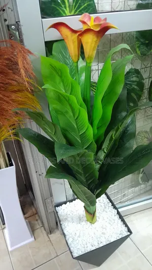 Flowered Plant Orange Plus Vase on Offer