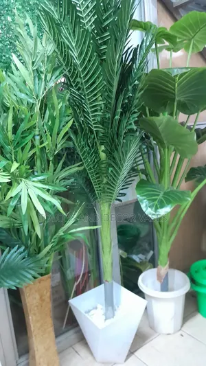 Palm Tree In Vase 1.8m Instock