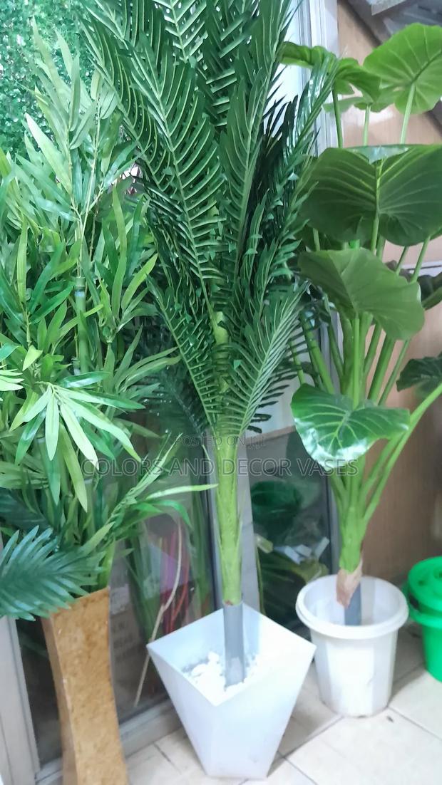 Palm Tree In Vase 1.8m Instock - main view