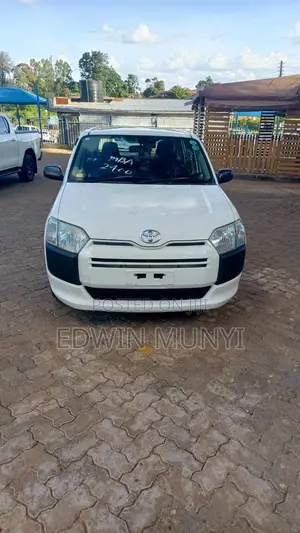 Toyota Probox 1.5 DX 2WD 2020 White