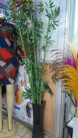 Long Bamboo Sticks Plus Vase