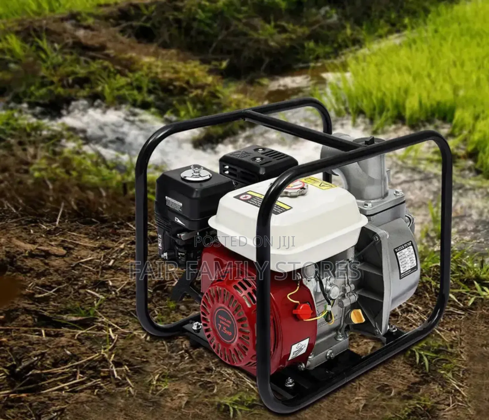 Petrol Water Pump